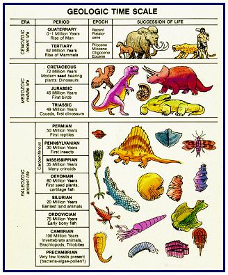 geologiccolumnanimals.jpg