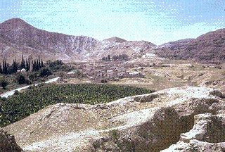 Site of the excavations at Old Jericho