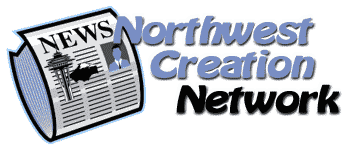 NW Creation News