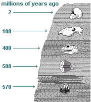 The Geological Column