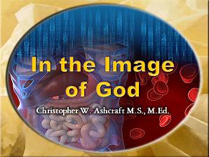 In the Image of God