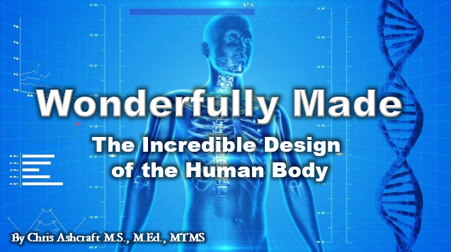 Wonderfully Made: The Incredible Design of the Human Body