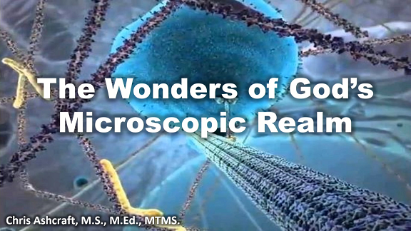 Wonders of God's Microscopic World