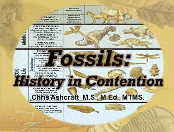 Fossils and the Flood of Noah
