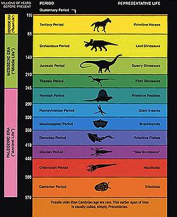 Geologic ages as interpreted by the fossil record.