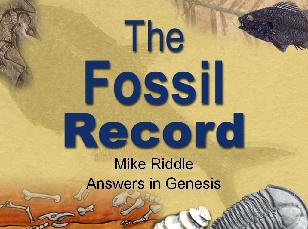 The Fossil Record