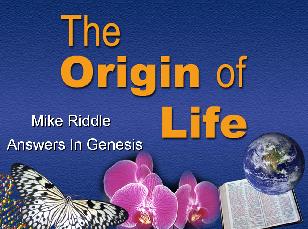 The Origin of Life