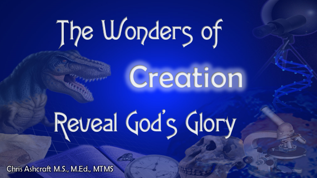 Wonders of Creation